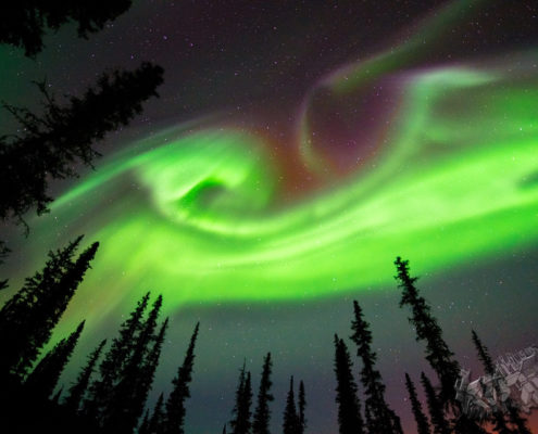 Best Northern Lights Photo, aurora borealis,