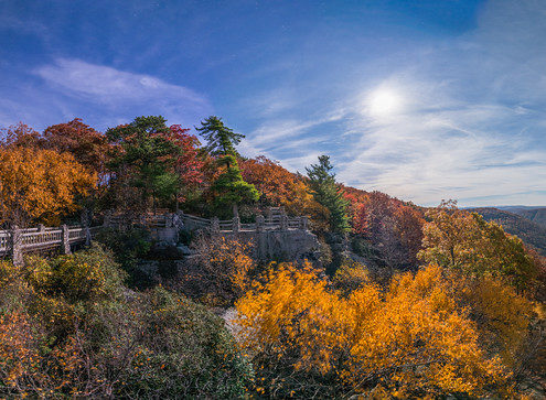 Moonlight on Coopers Rock, WV