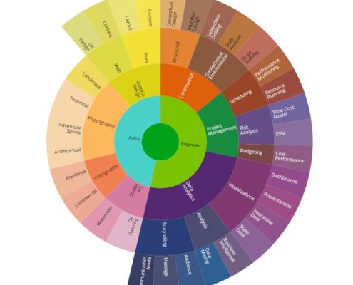 Data Visualization, Sunburst, D3JS, D3, D3.js, Core Competencies